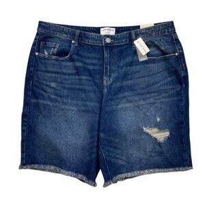 Lane Bryant Blue Denim Shorts